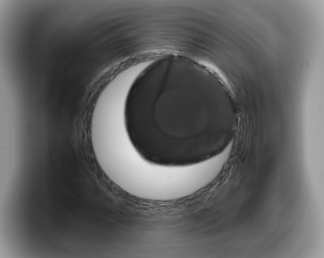 X0000099571064200805301536