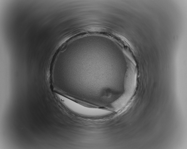 X0000099571065200805301536