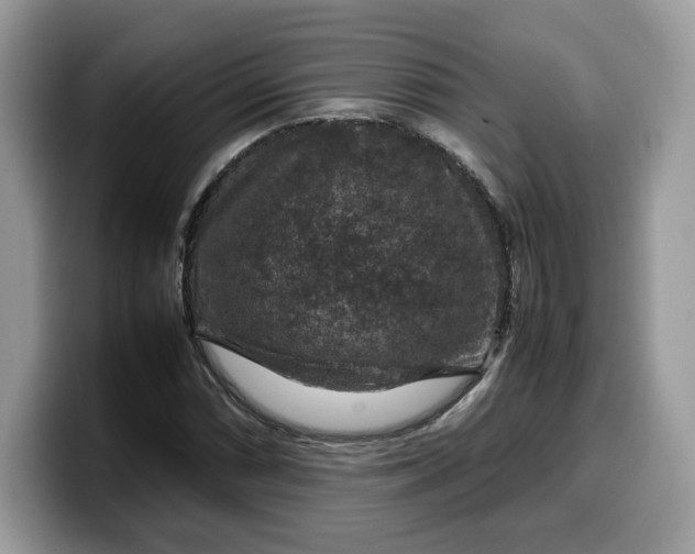 X0000099571066200805301536