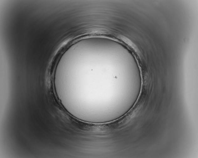 X0000099571067200805301536