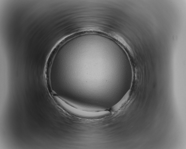 X0000099571068200805301536