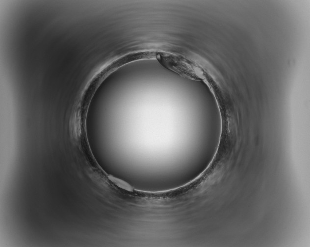 X0000099571069200805301536