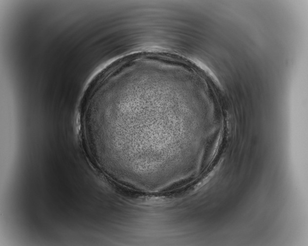 X0000099571070200805301536