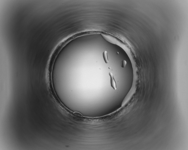 X0000099571072200805301536