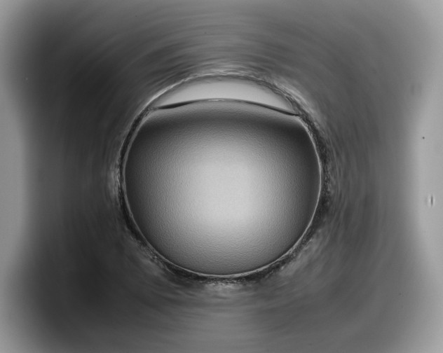 X0000099571073200805301536