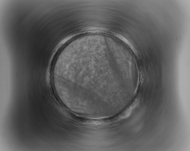 X0000099571074200805301536