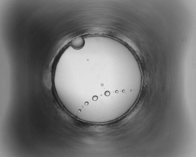 X0000099571075200805301536