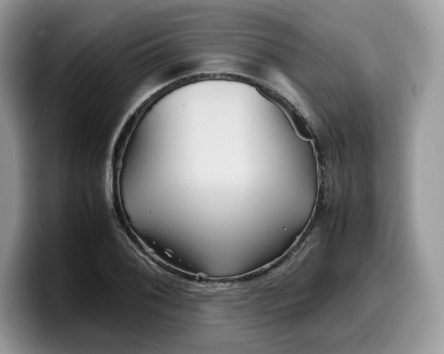 X0000099571076200805301536