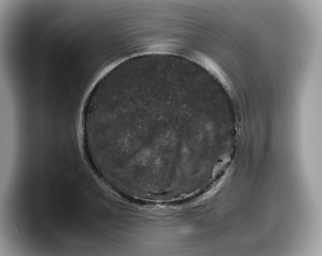 X0000099571077200805301536
