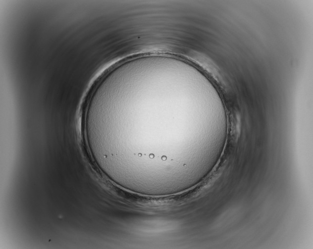 X0000099571078200805301536