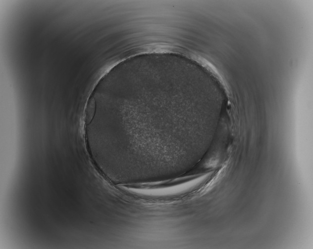 X0000099571081200805301536