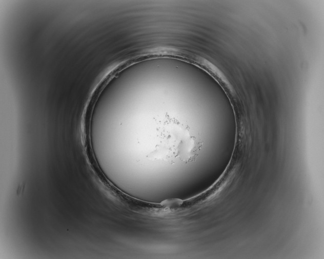 X0000099571082200805301536