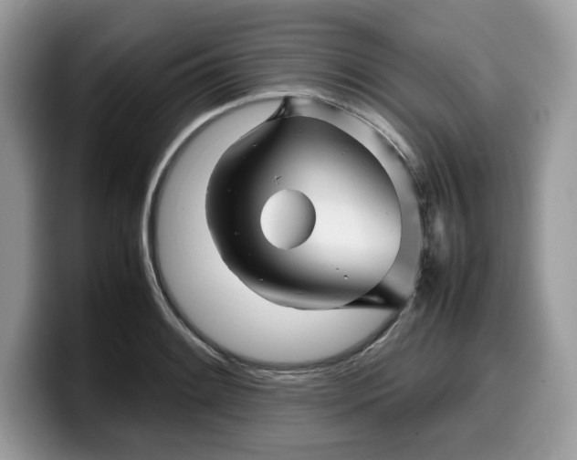 X0000099571084200805301536