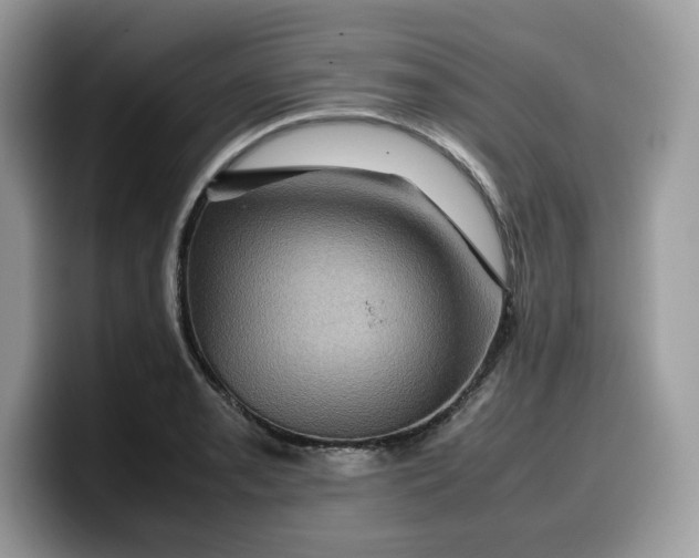 X0000099571085200805301536