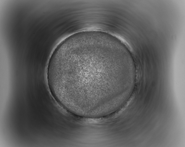 X0000099571086200805301536