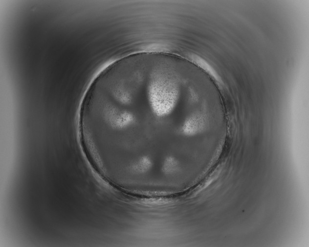 X0000099571087200805301536