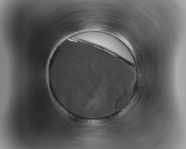 X0000099571088200805301536