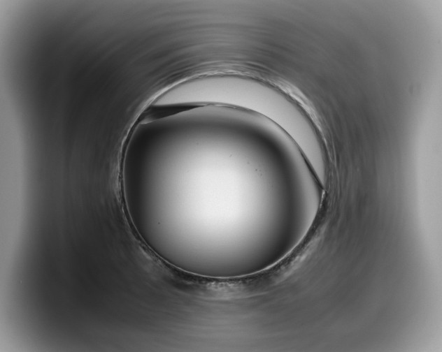 X0000099571089200805301536