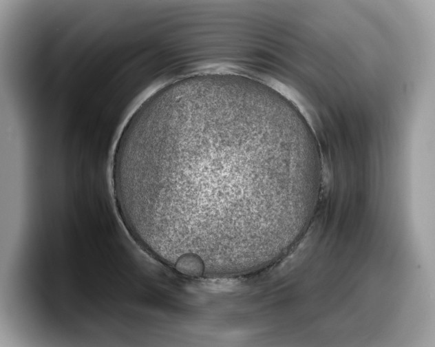 X0000099571090200805301536