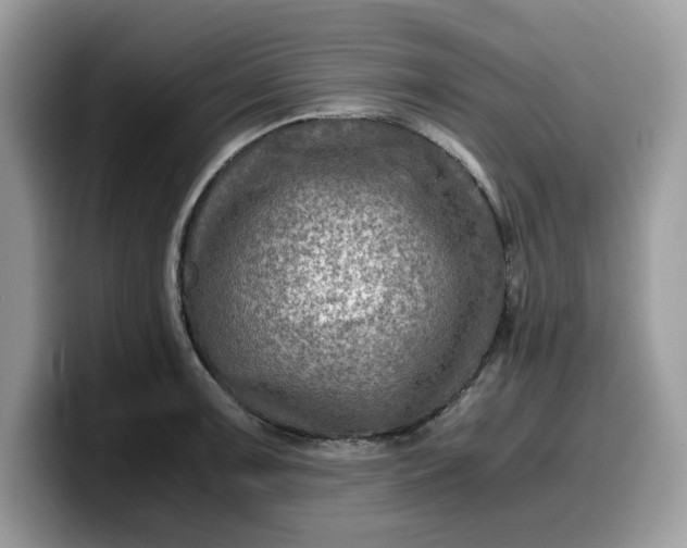 X0000099571091200805301536