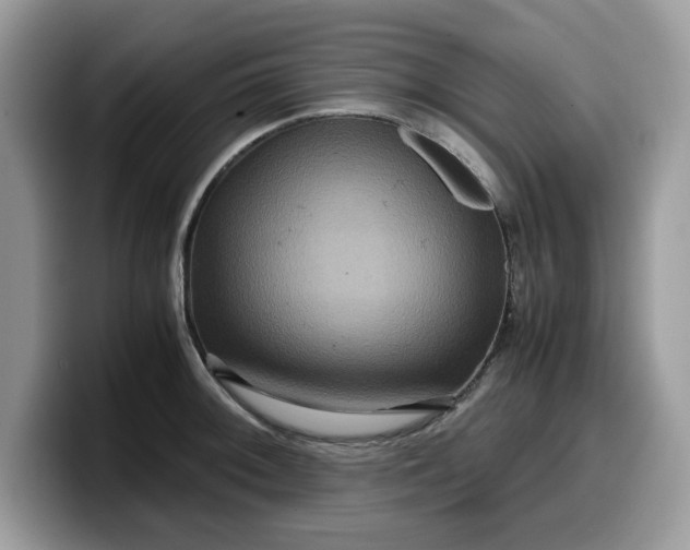 X0000099571092200805301536