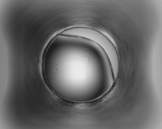 X0000099571093200805301536