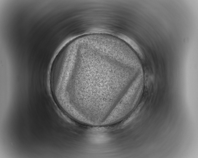 X0000099571094200805301536