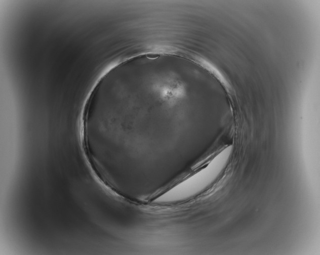 X0000099571095200805301536