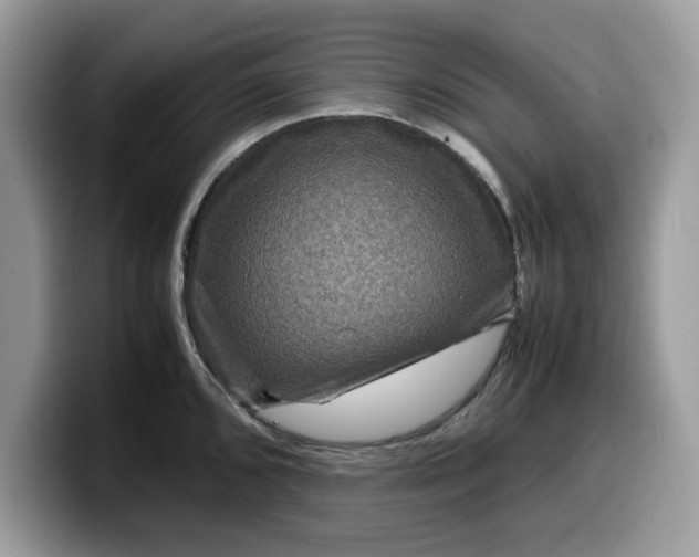 X0000099571096200805301536