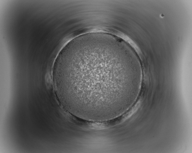 X0000099571097200805301536