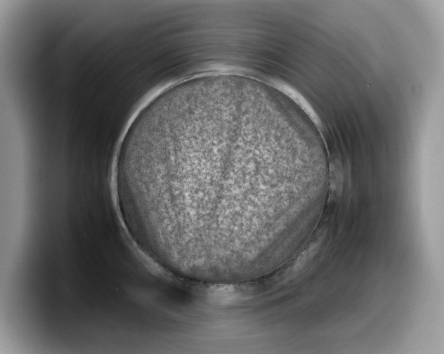 X0000099571098200805301536