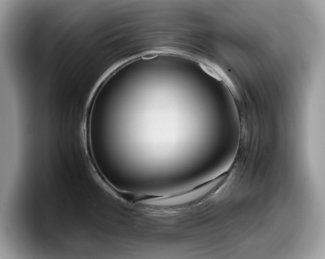 X0000099571100200805301536