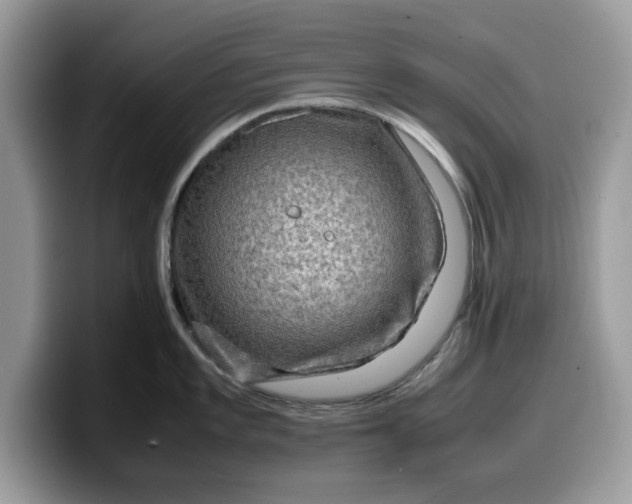 X0000099571101200805301536