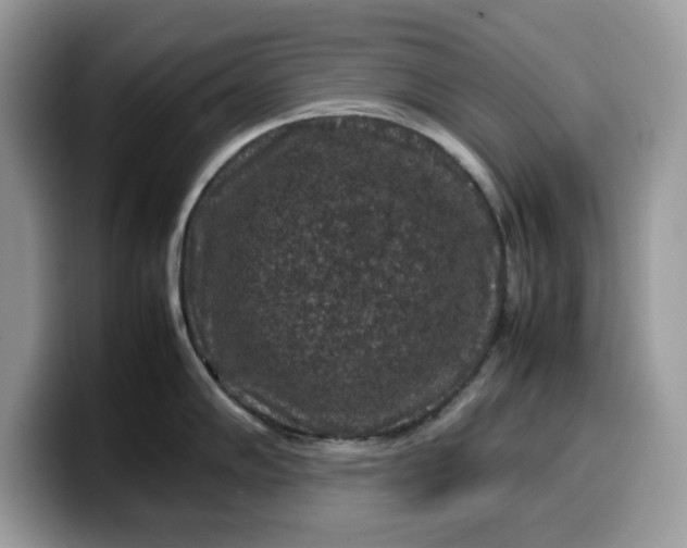 X0000099571102200805301536