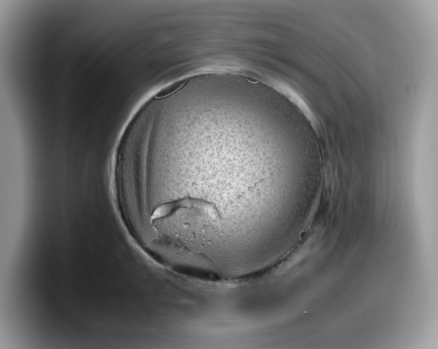 X0000099571103200805301536