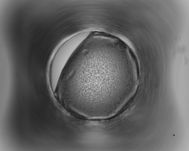 X0000099571104200805301536