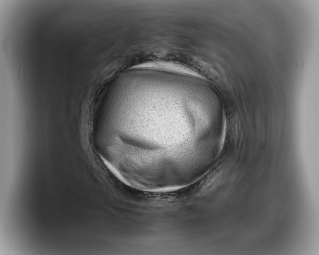X0000099571105200805301535