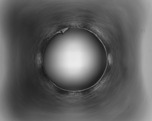 X0000099571107200805301535