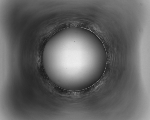 X0000099571109200805301535