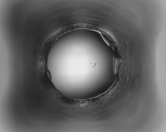 X0000099571111200805301535