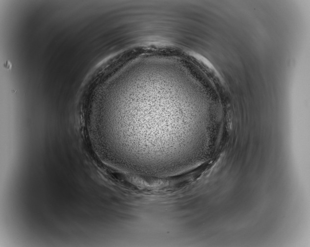 X0000099571112200805301535
