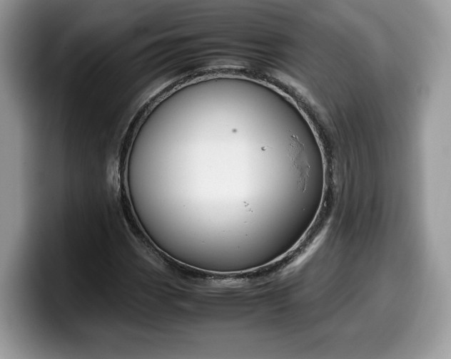 X0000099571113200805301535