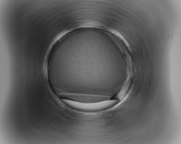 X0000099571114200805301535
