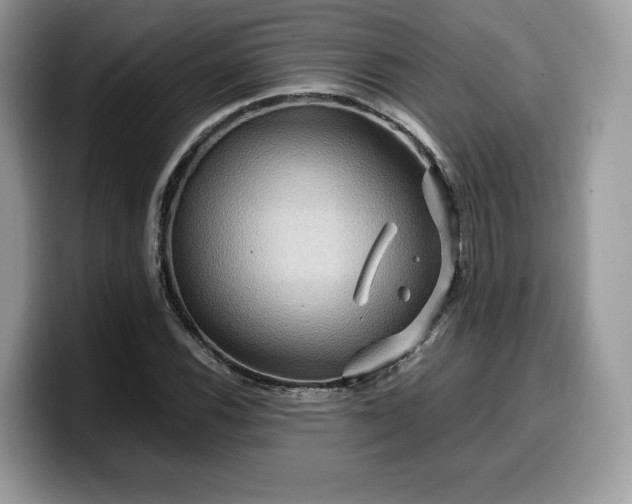 X0000099571116200805301535