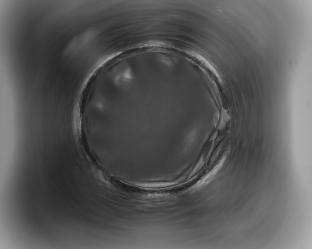 X0000099571117200805301535