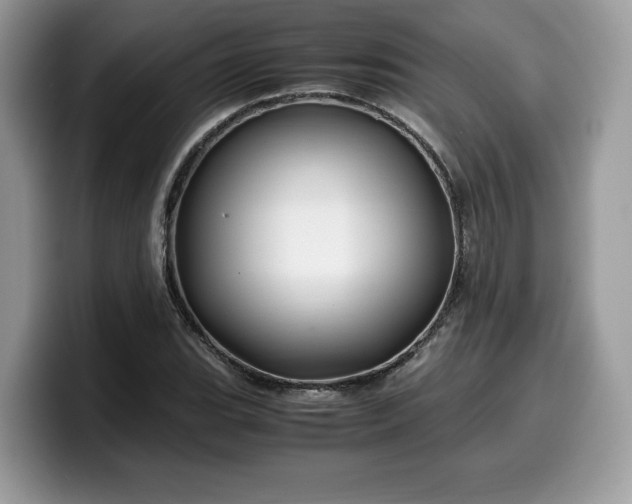X0000099571119200805301535