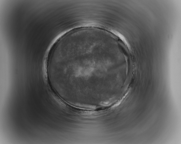 X0000099571120200805301535