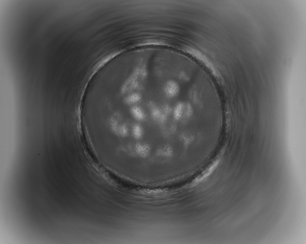 X0000099571121200805301535