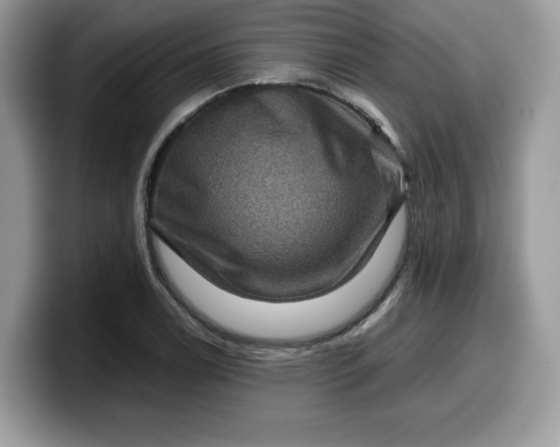 X0000099571122200805301535