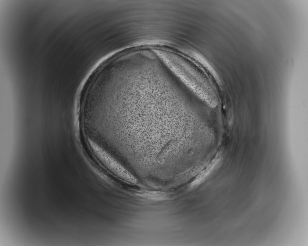 X0000099571124200805301535
